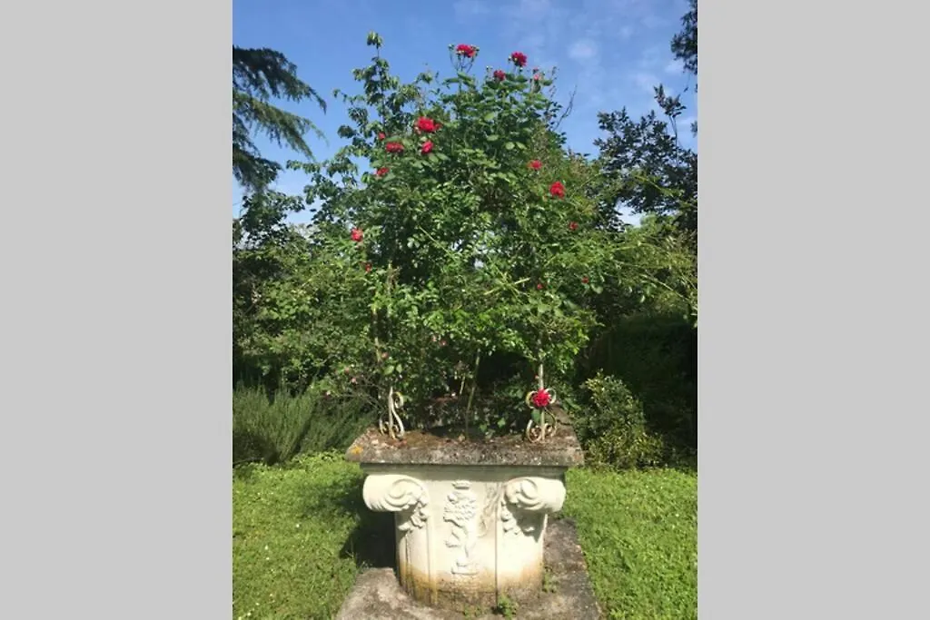 Casa La Torre Un Castello Alle Porte Di Firenze Italia