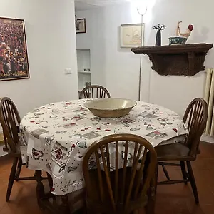Pasha Apartment